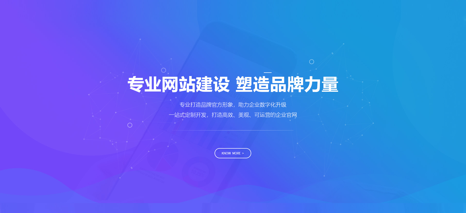 河口建站-专业网站建设 塑造品牌力量