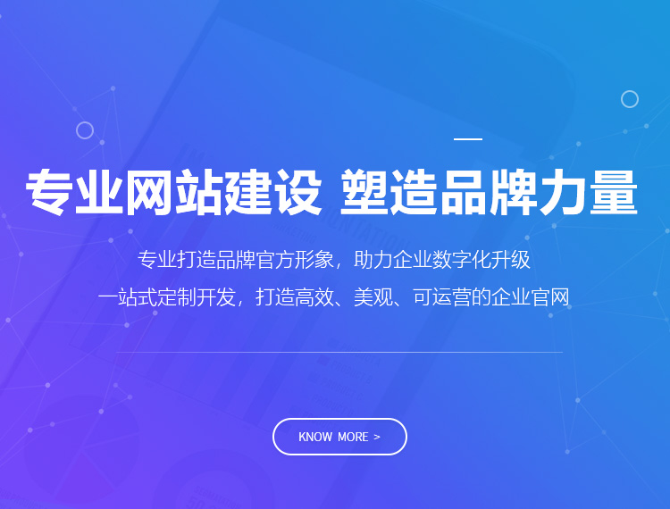 河口建站-专业网站建设 塑造品牌力量